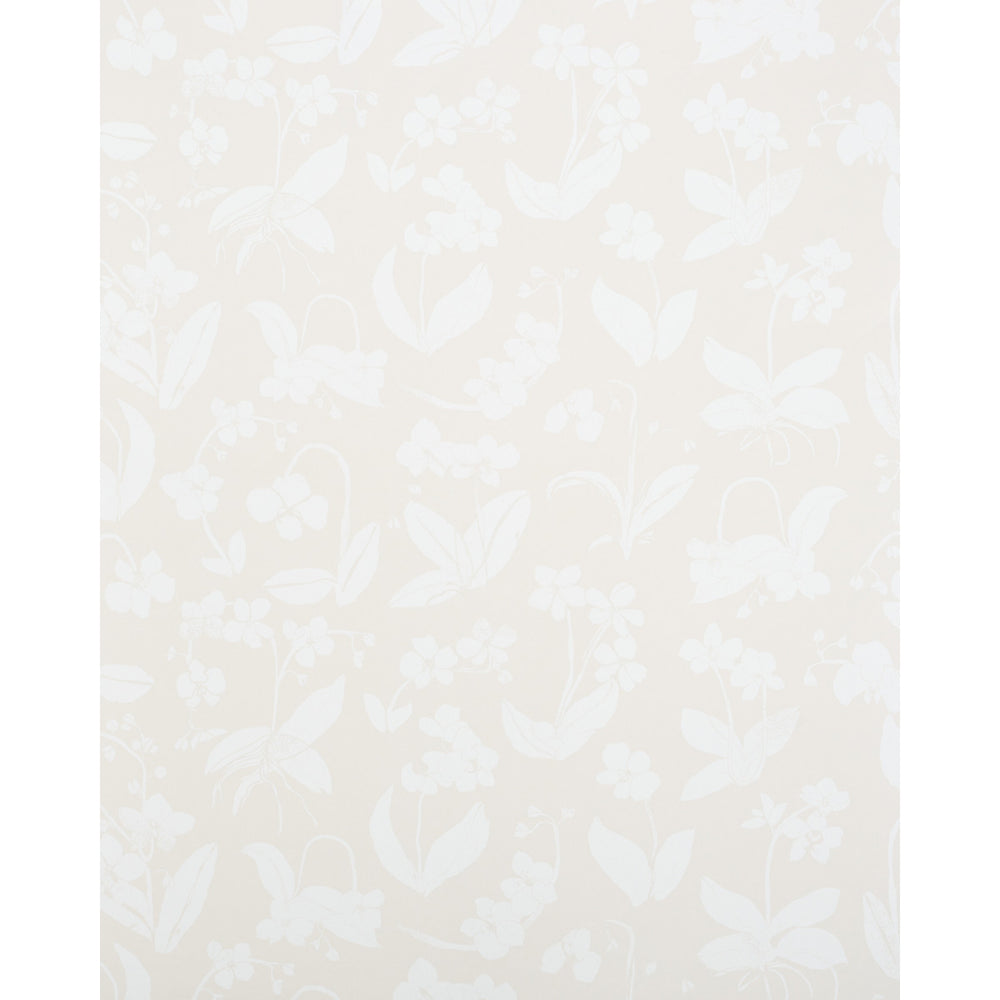 ORCHIDS HAVE DREAMS | Light Neutral