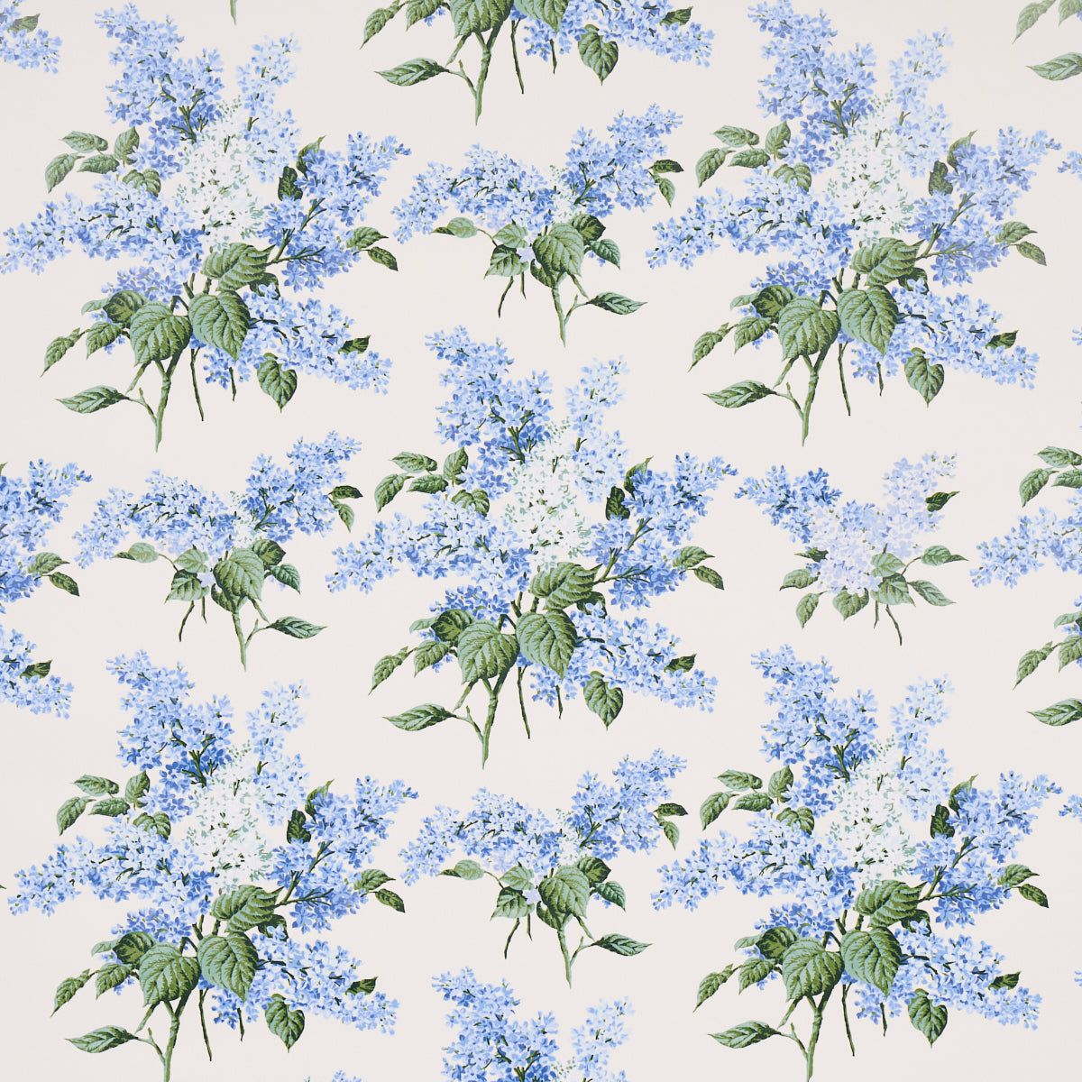 PROUST'S LILACS | BLUE