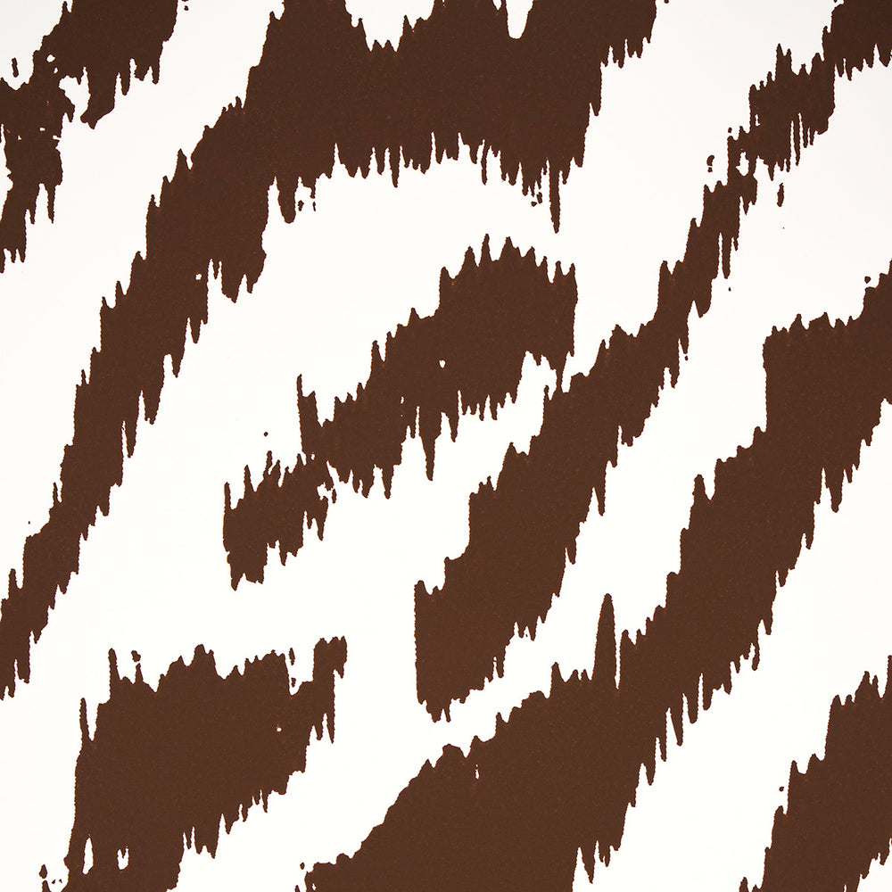 Quincy | Cocoa