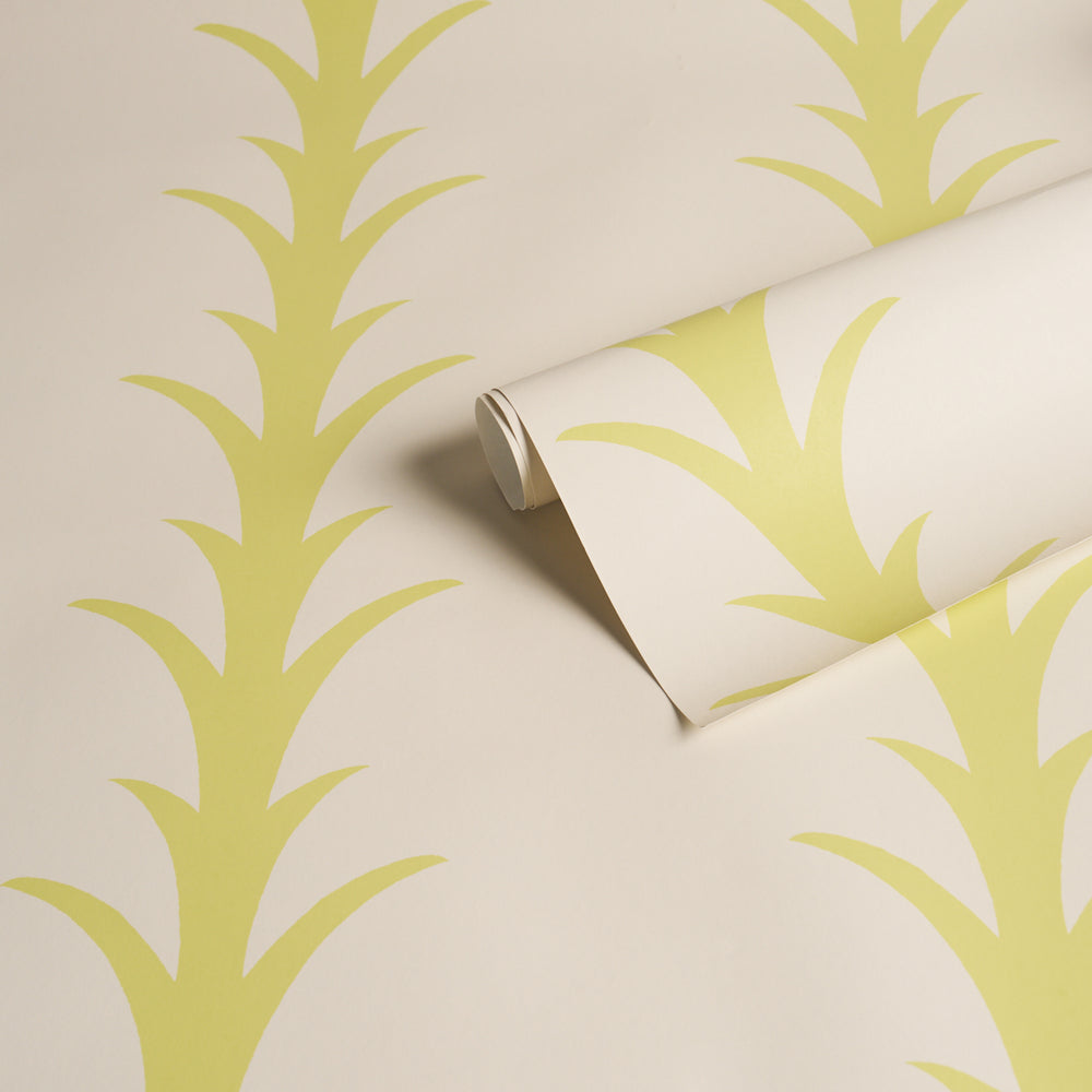 ACANTHUS STRIPE | Soleil On Sand