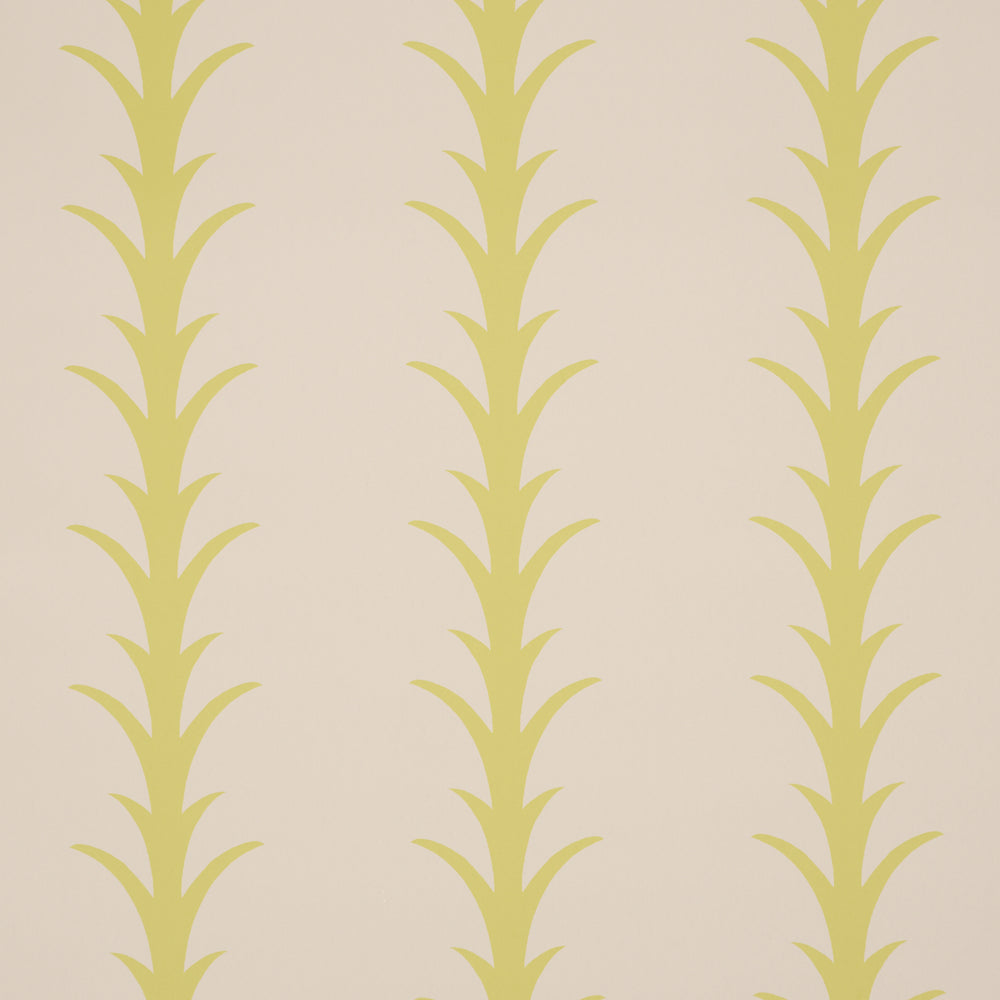 ACANTHUS STRIPE | Soleil On Sand