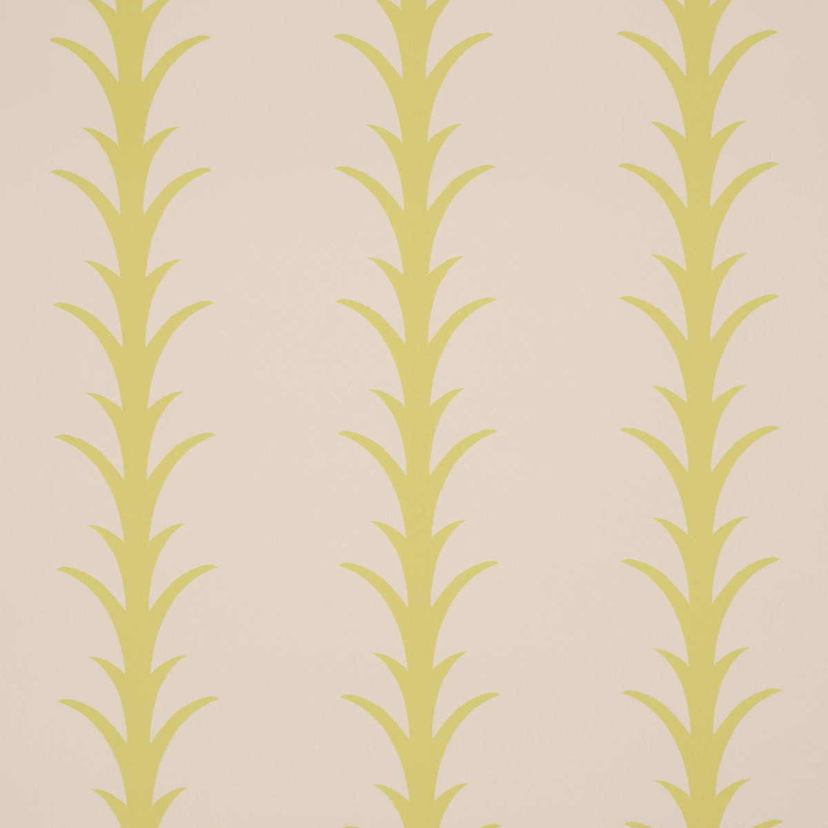 ACANTHUS STRIPE | Soleil On Sand