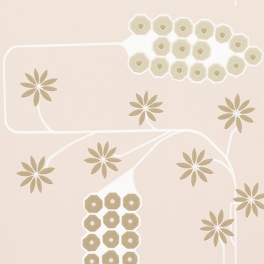 HOLLYWOOD GRAPE | Plaster