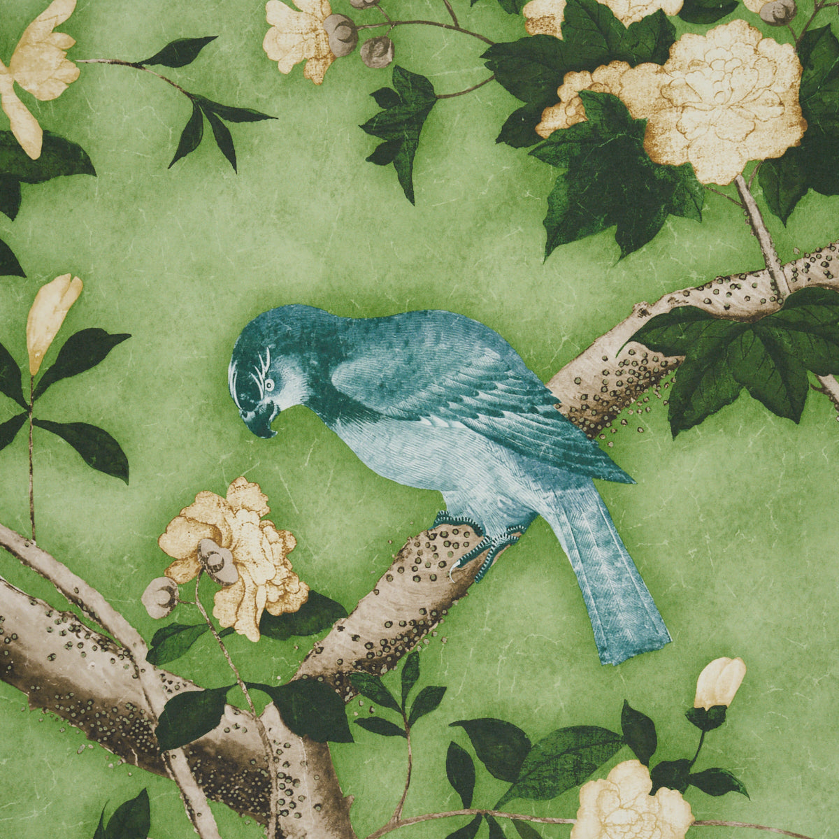 LES OISEAUX PANEL SET | Apple Green