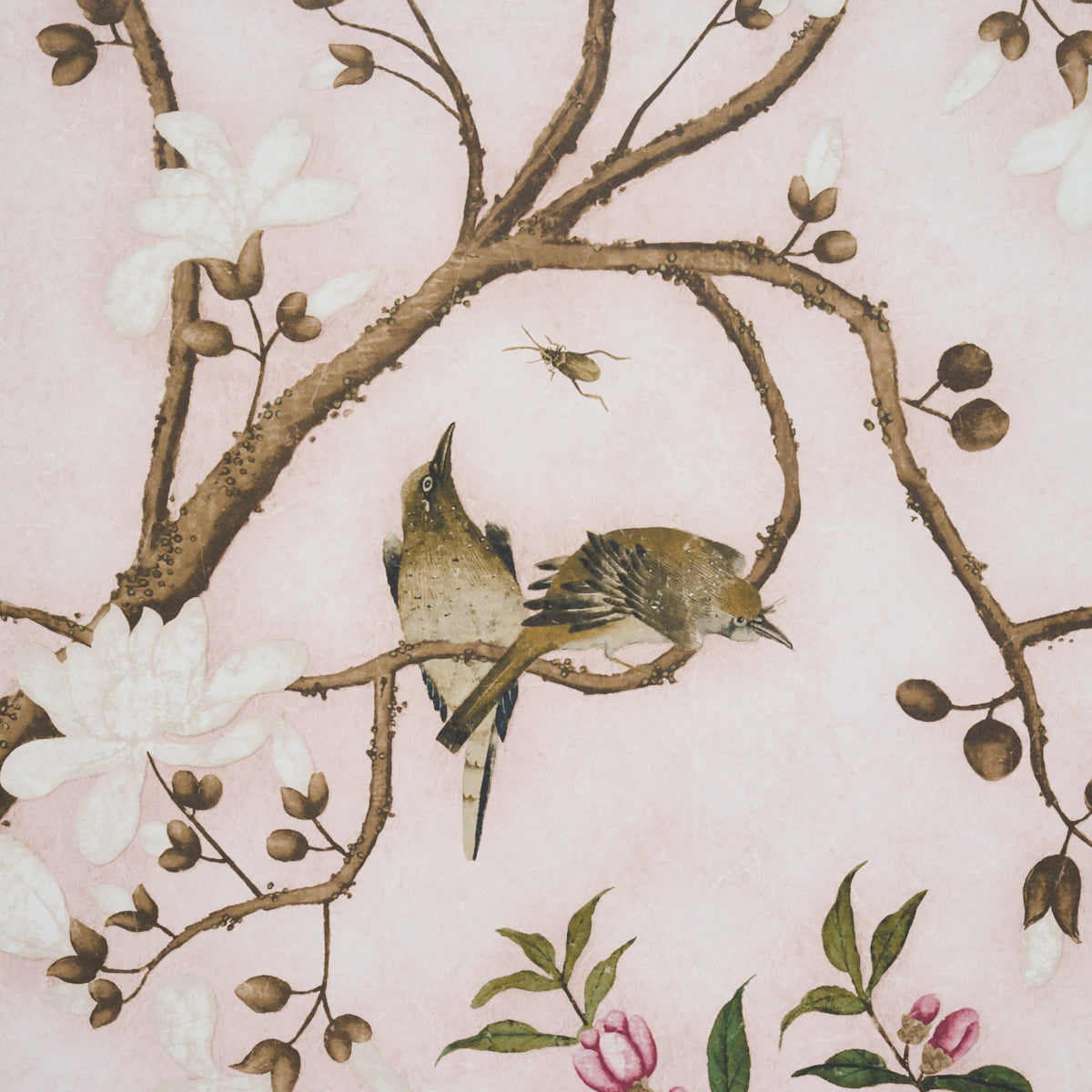 LES OISEAUX PANEL SET | Blush