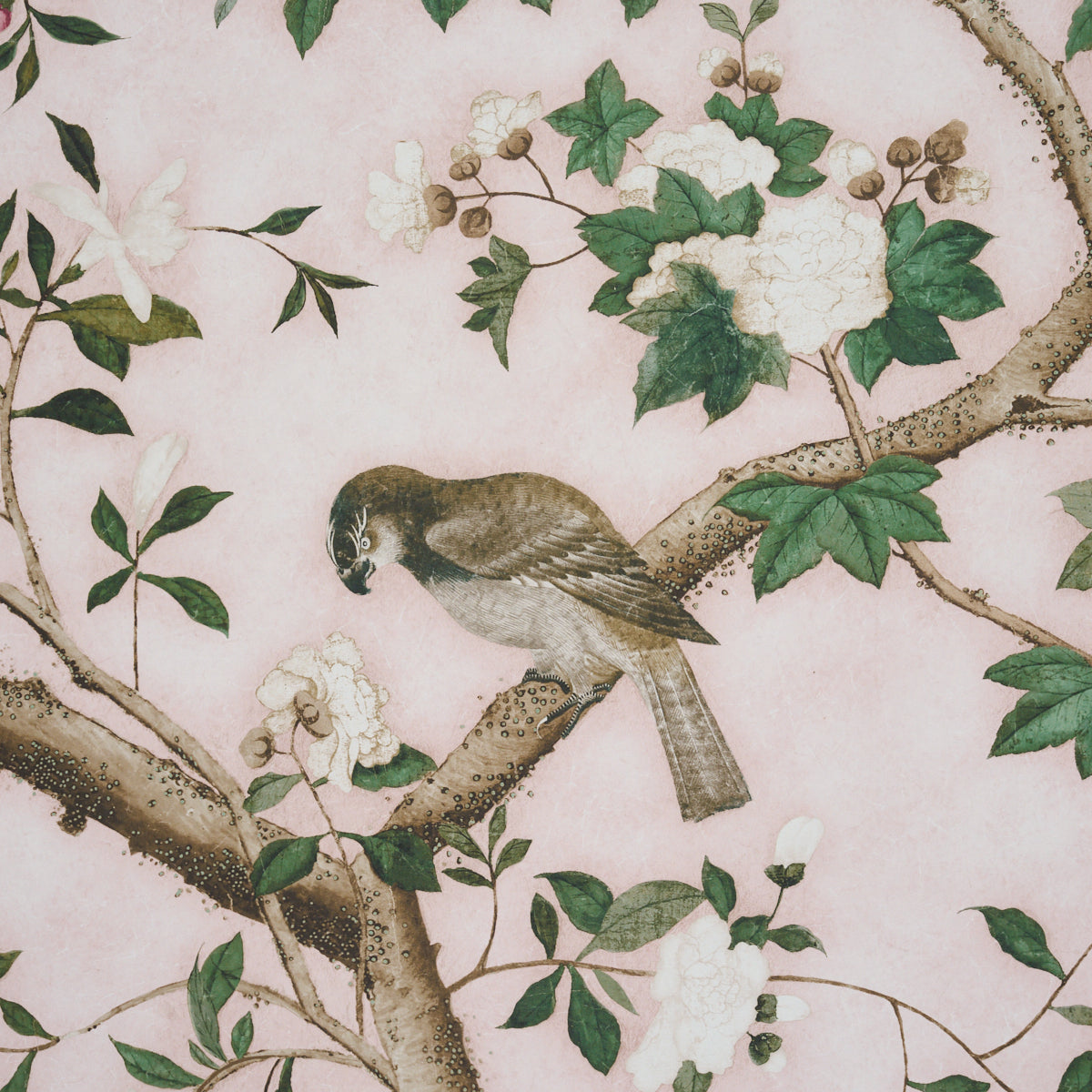 LES OISEAUX PANEL SET | Blush