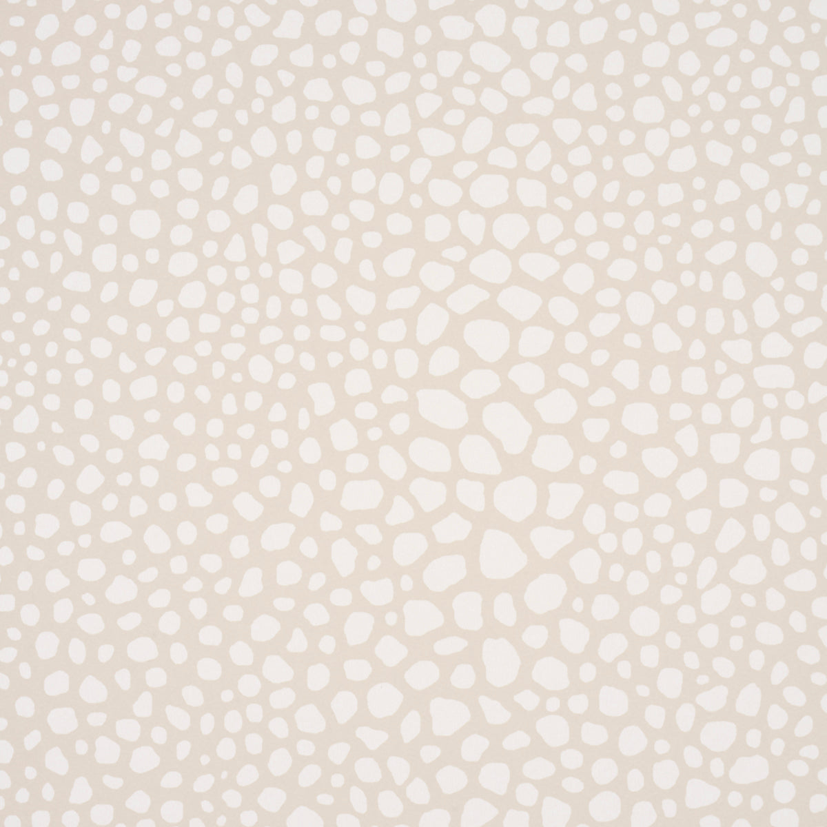 FICKLE TEXTURE | IVORY