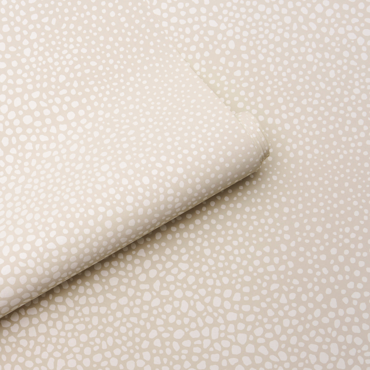 FICKLE TEXTURE | IVORY
