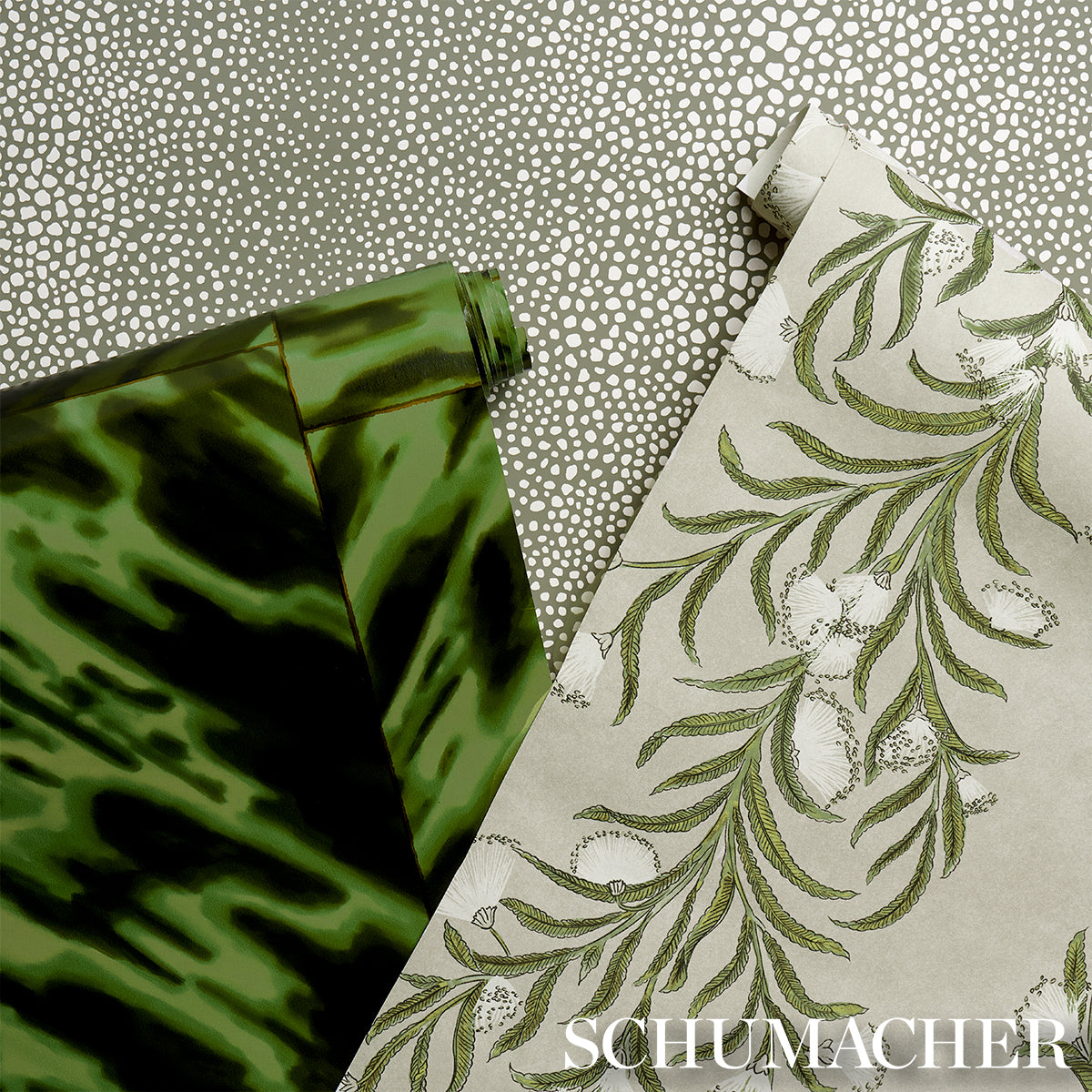 TASMANIAN MIMOSA | Ivory & Green