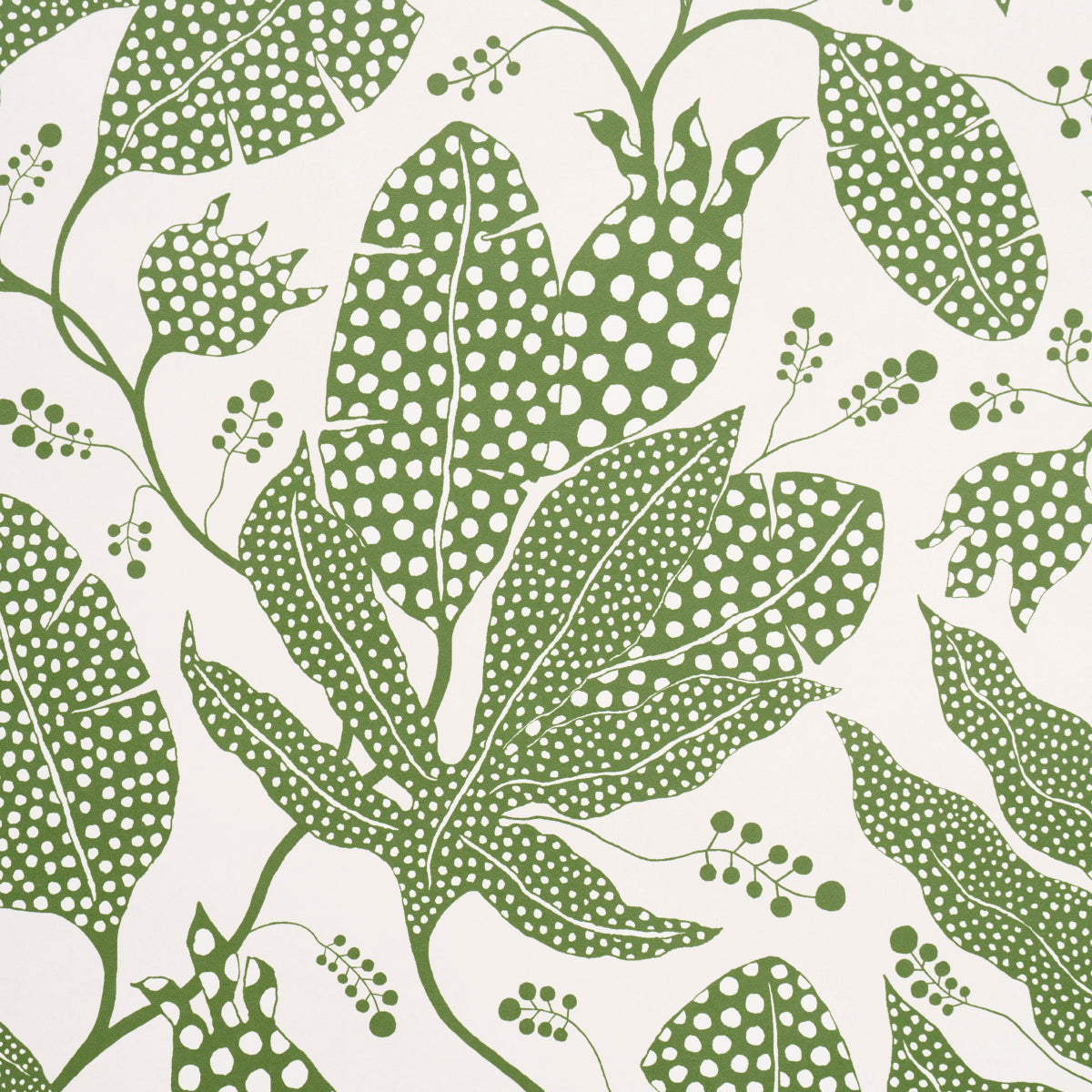 POLKA DOT JUNGLE | Green & Ivory