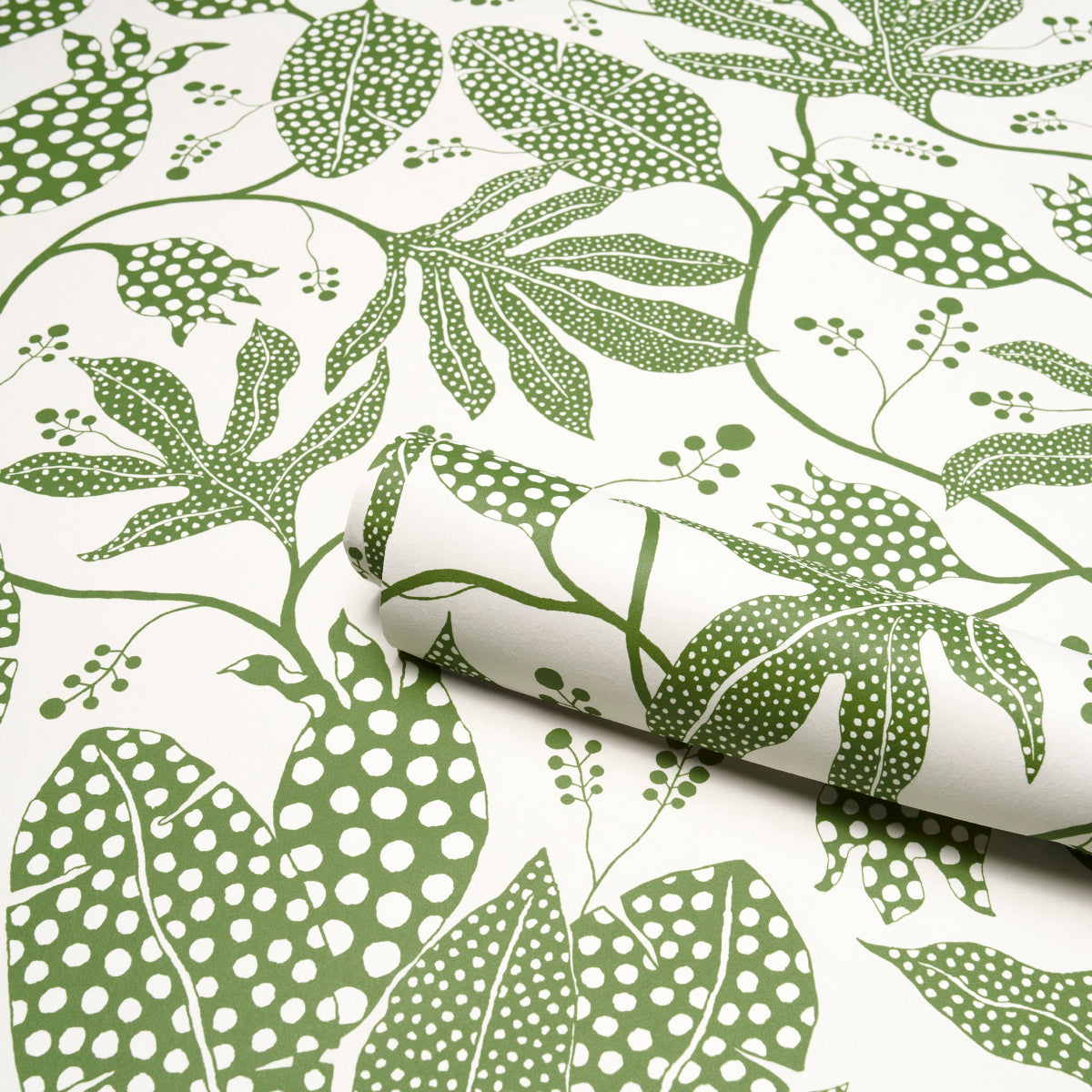 POLKA DOT JUNGLE | Green & Ivory