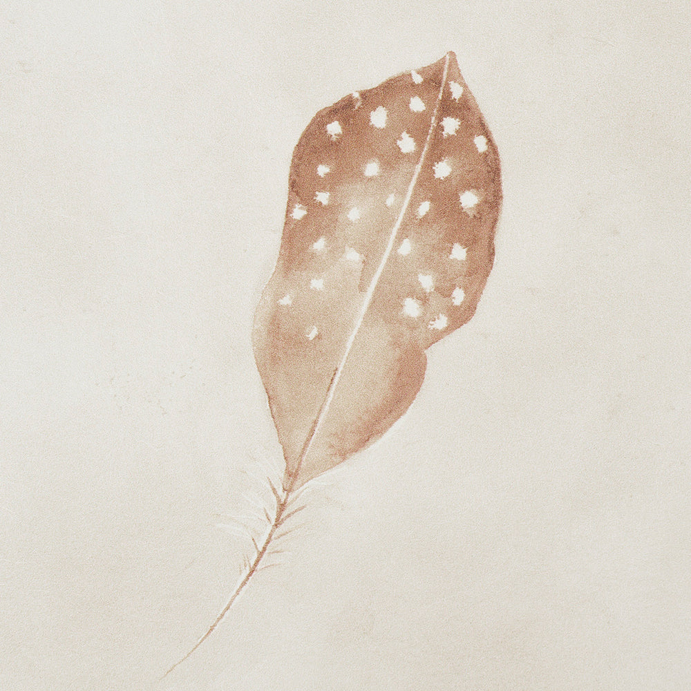 Woodland Feathers | Autumn