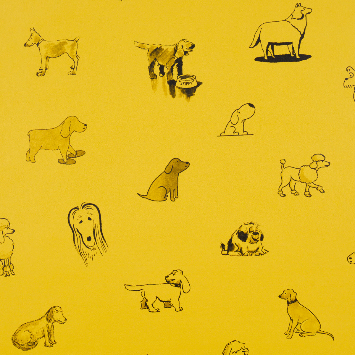 GOOD DOGS EVERYWHERE | TAXI-CAB YELLOW
