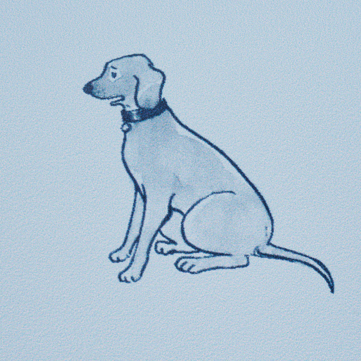 GOOD DOGS EVERYWHERE | SKY & NAVY BLUE