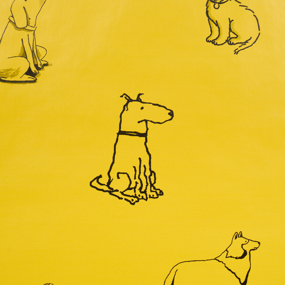 Good Dogs Everywhere | Taxi-Cab Yellow