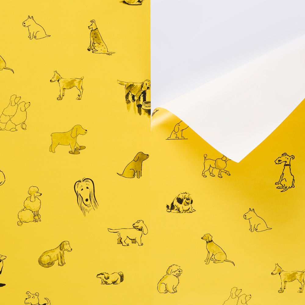 Good Dogs Everywhere | Taxi-Cab Yellow