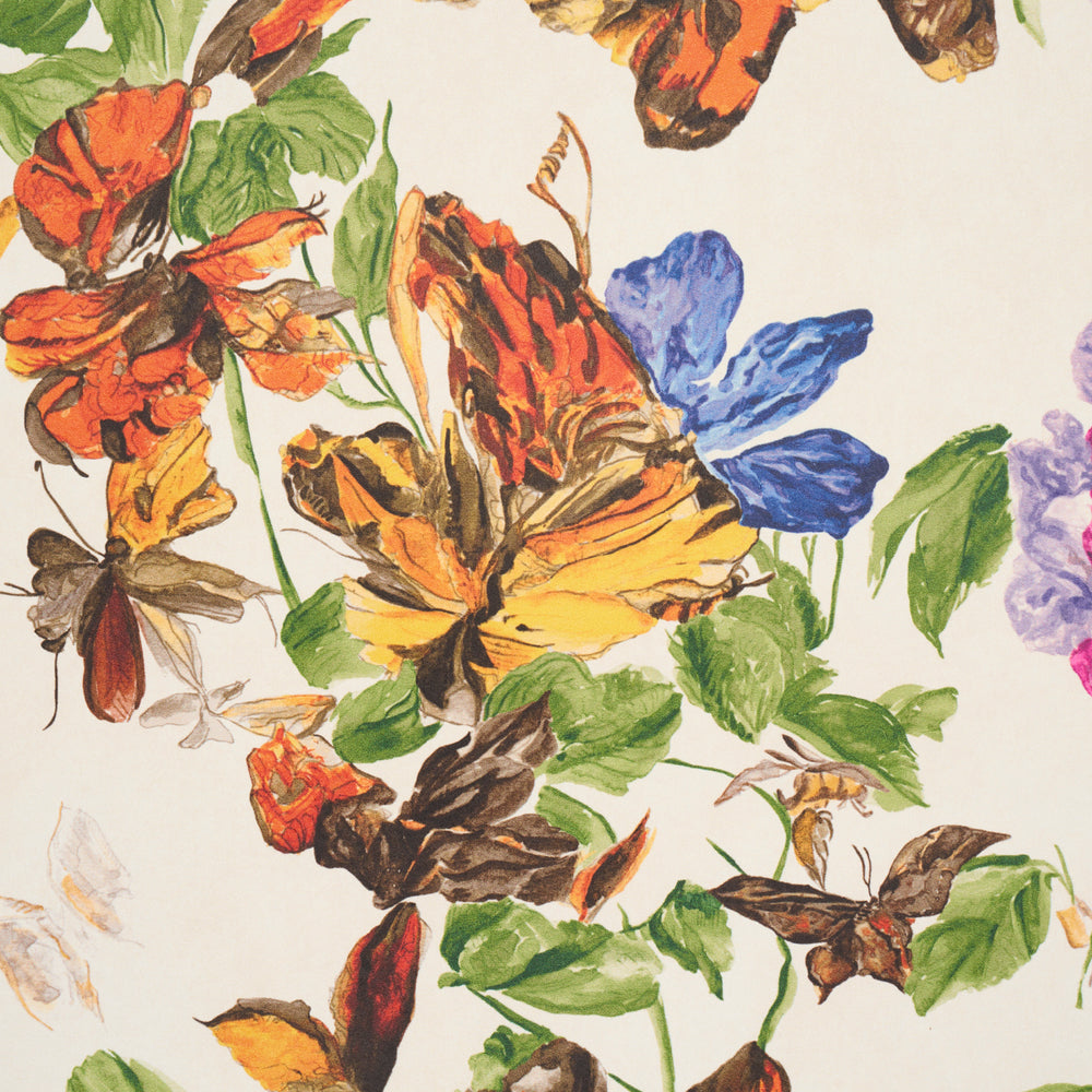 Pyne Butterfly | Monarch Orange