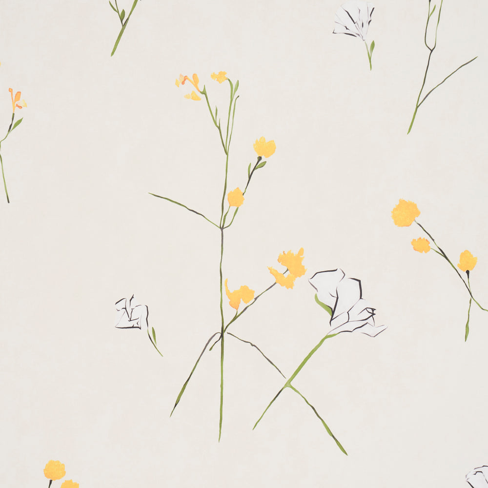 Alex's Floral | Daffodil
