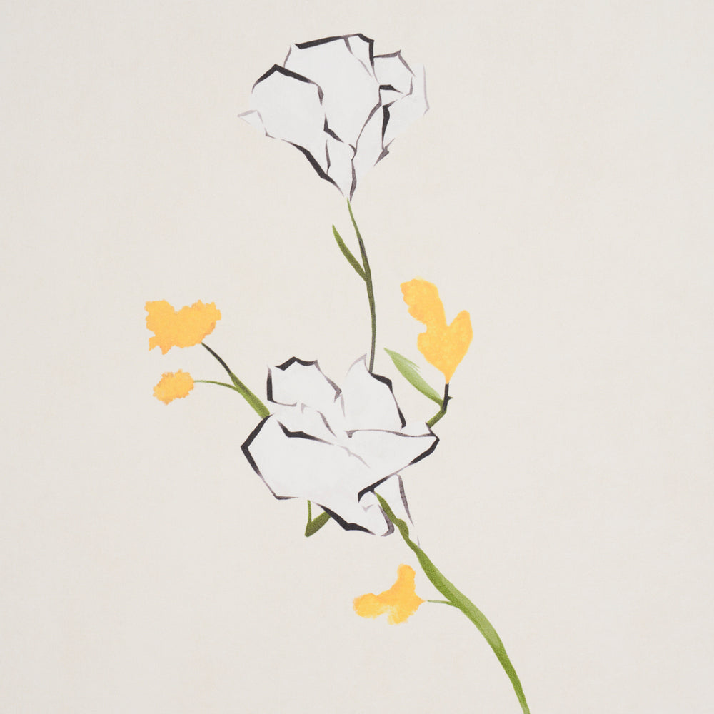 Alex's Floral | Daffodil