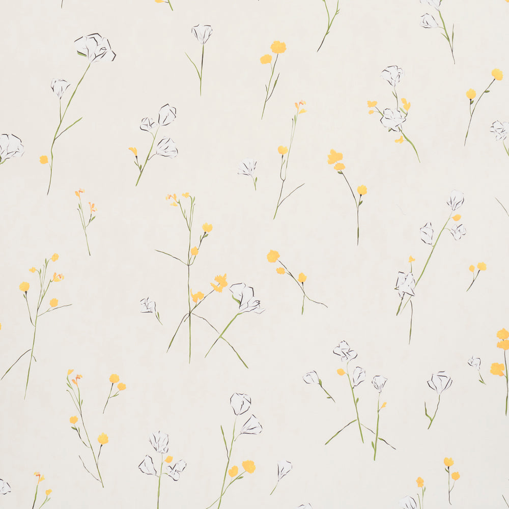 Alex's Floral | Daffodil