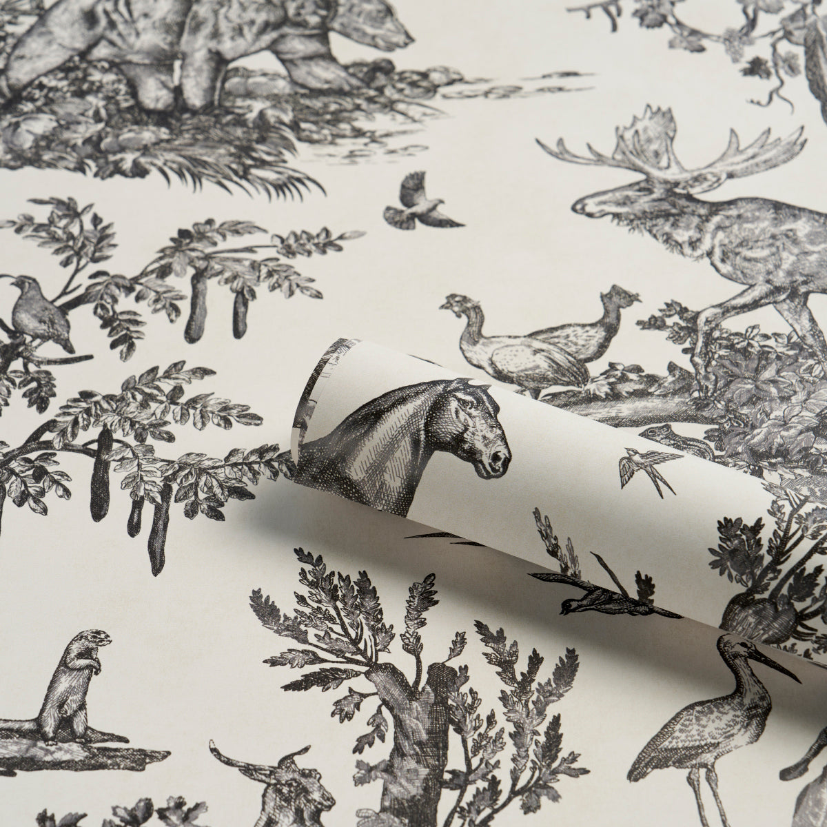 WESTERN TOILE | Carbon