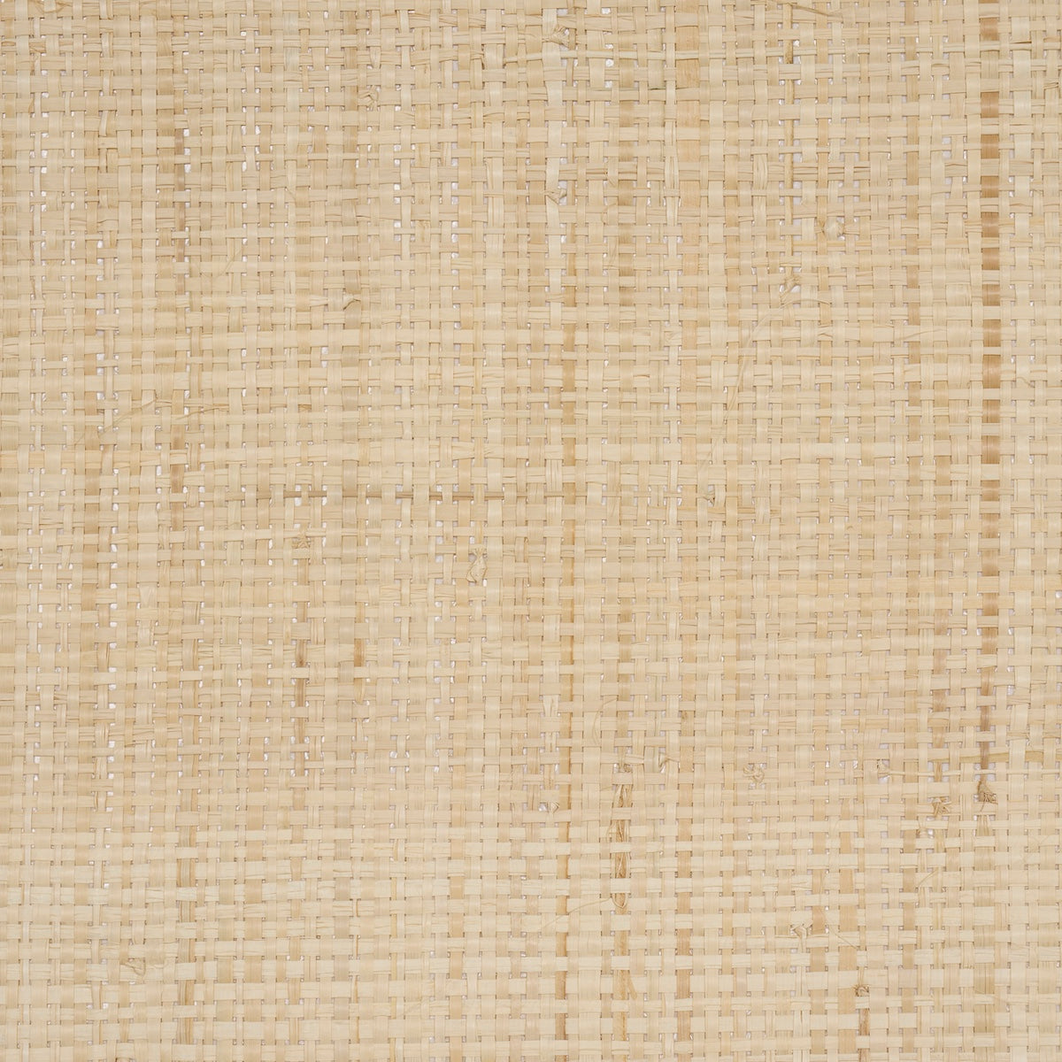 BLONDE RAFFIA | Wheat