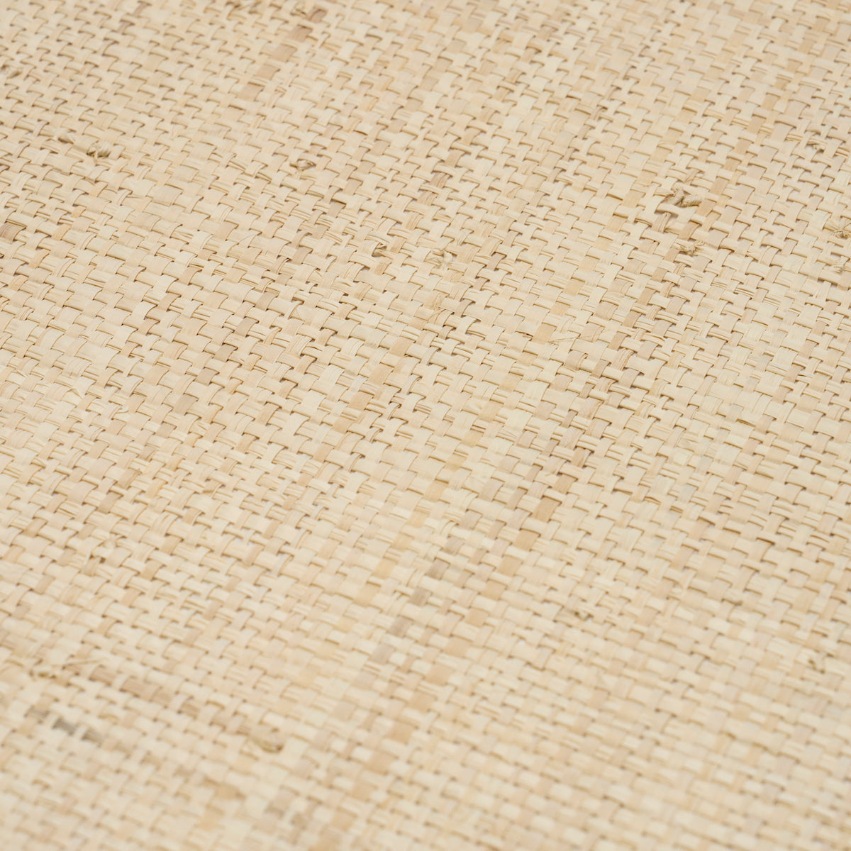 BLONDE RAFFIA | Wheat