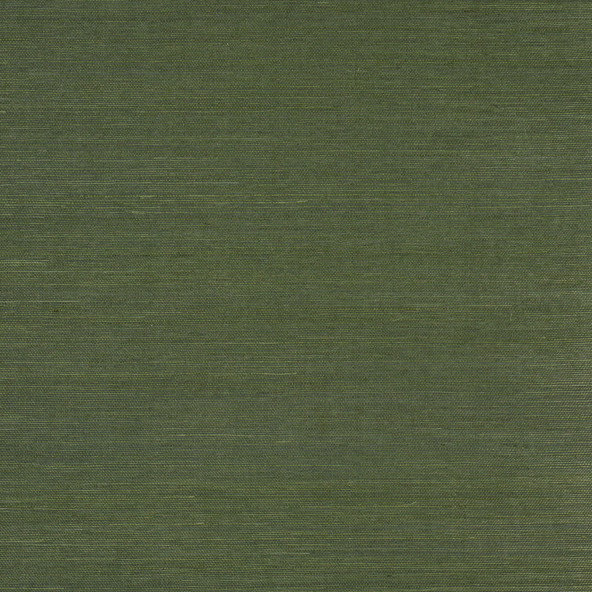 HARUKI SISAL | Night On Earth