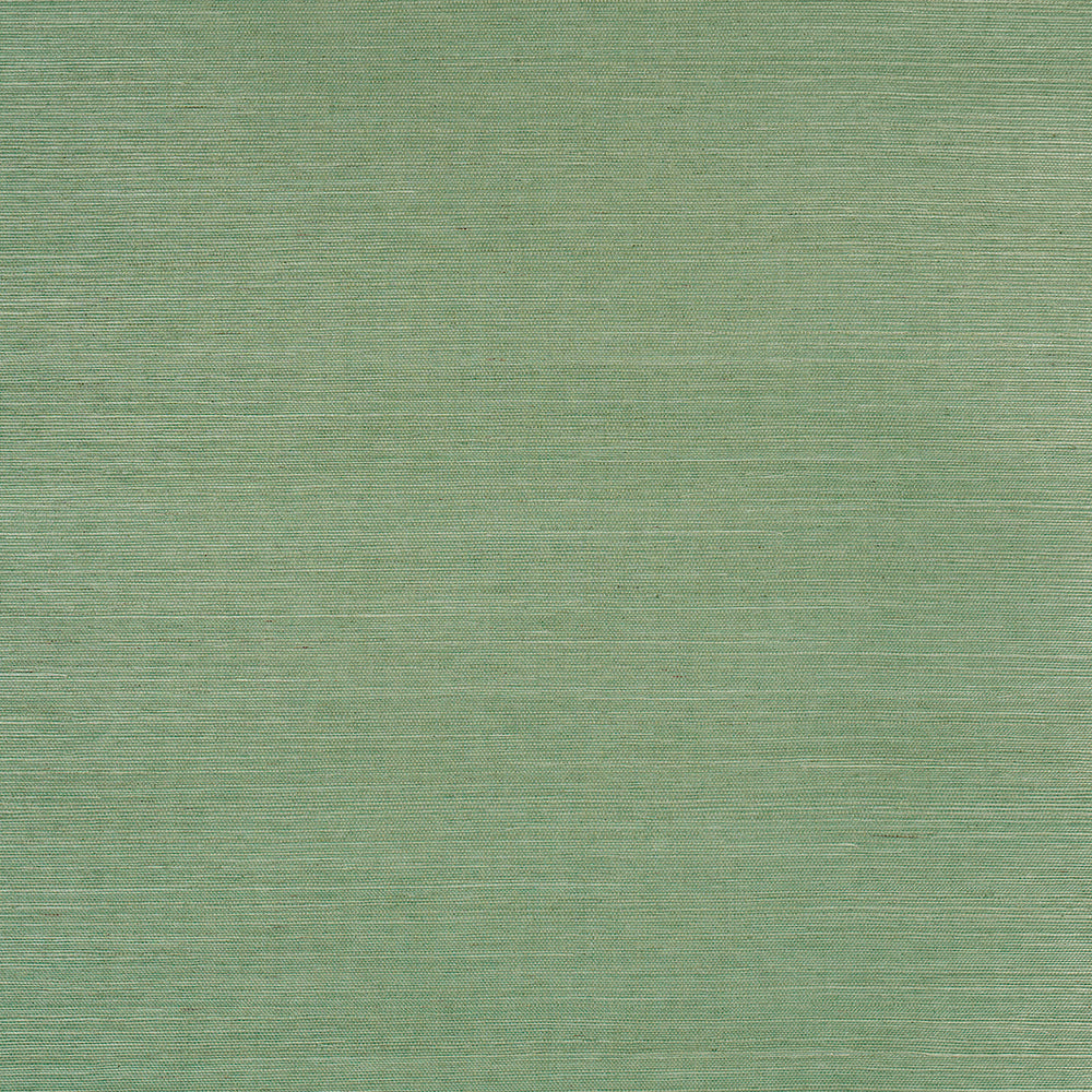 HARUKI SISAL | Drive-Thru Safari