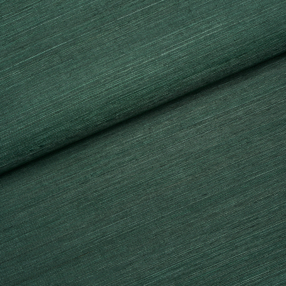 HARUKI SISAL | Kismet