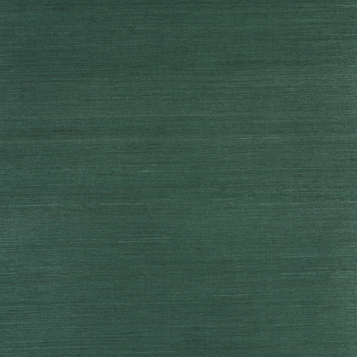 HARUKI SISAL | Kismet