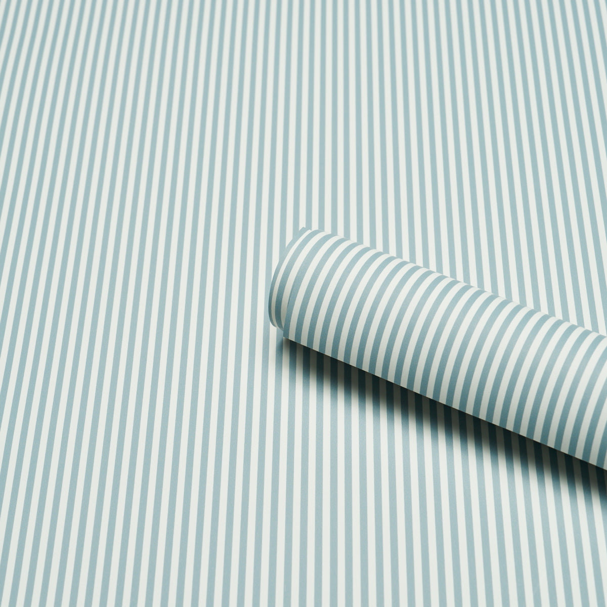 EMMA STRIPE NARROW | Chambray