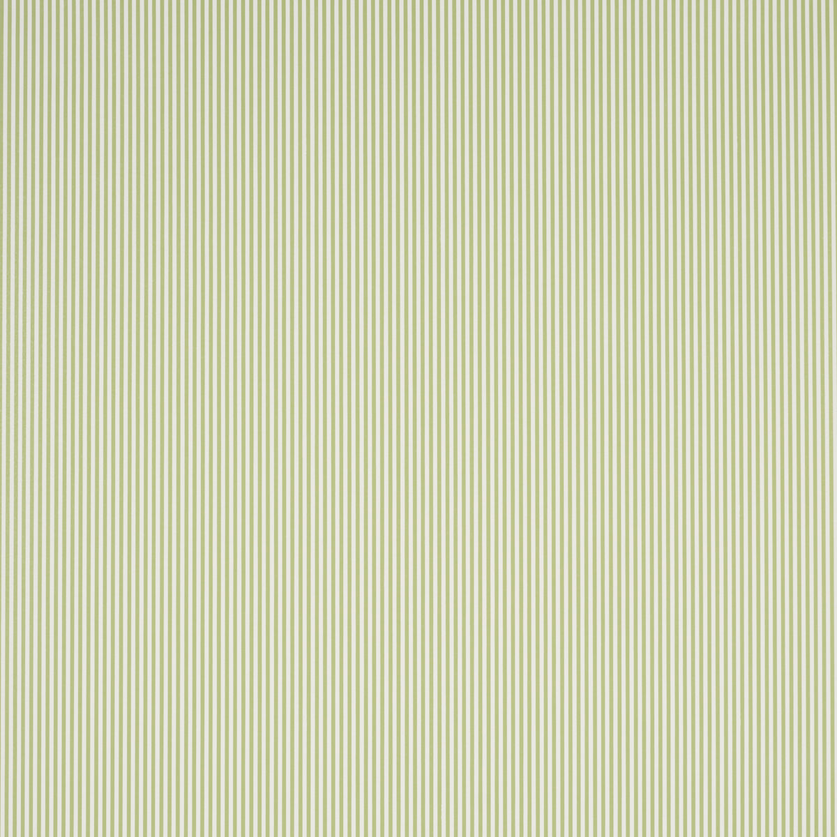 EMMA STRIPE NARROW | Leaf