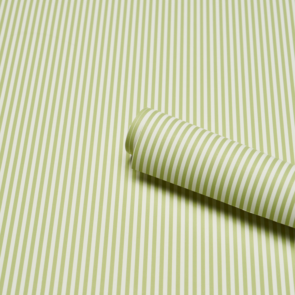 EMMA STRIPE NARROW | Leaf