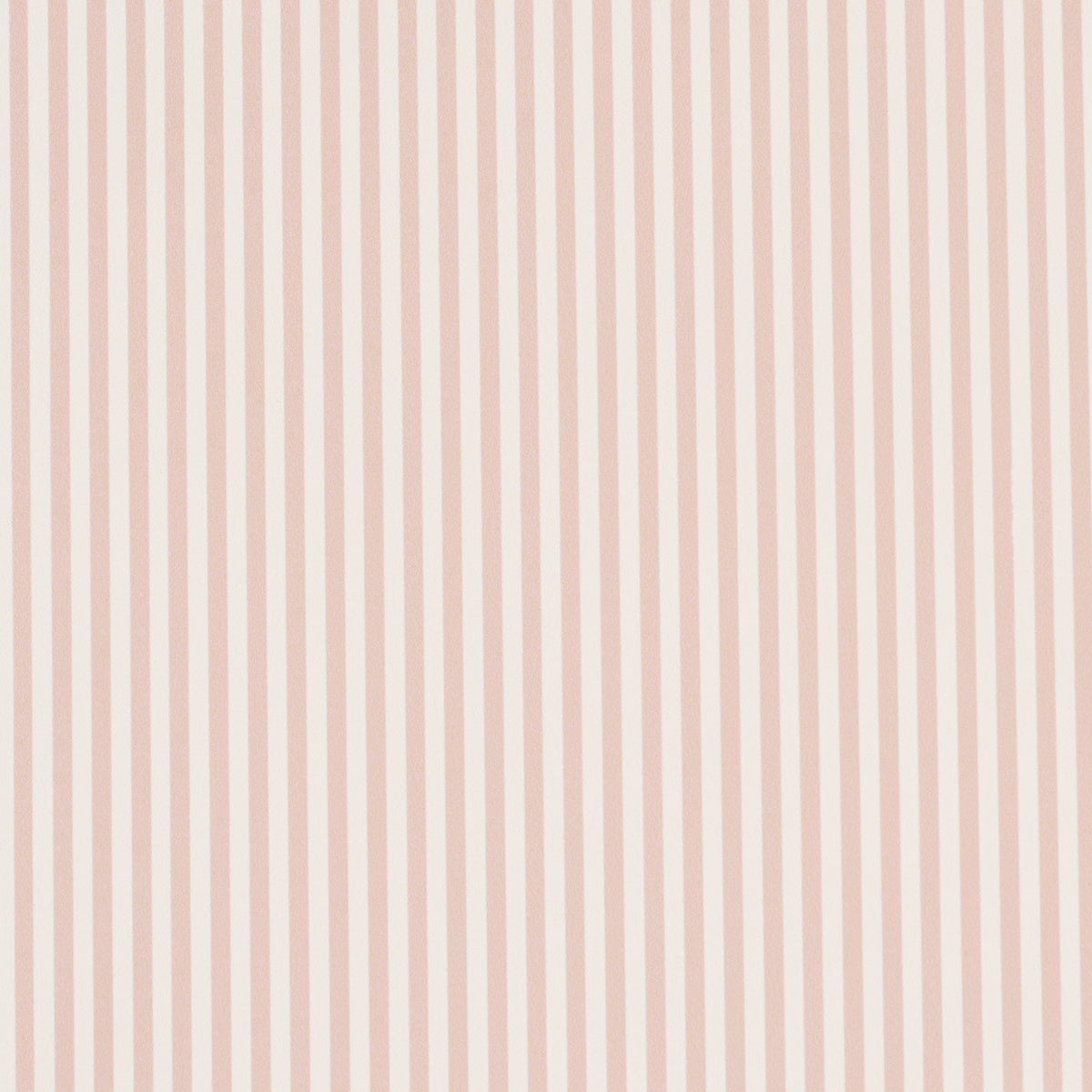 EMMA STRIPE NARROW | Blush