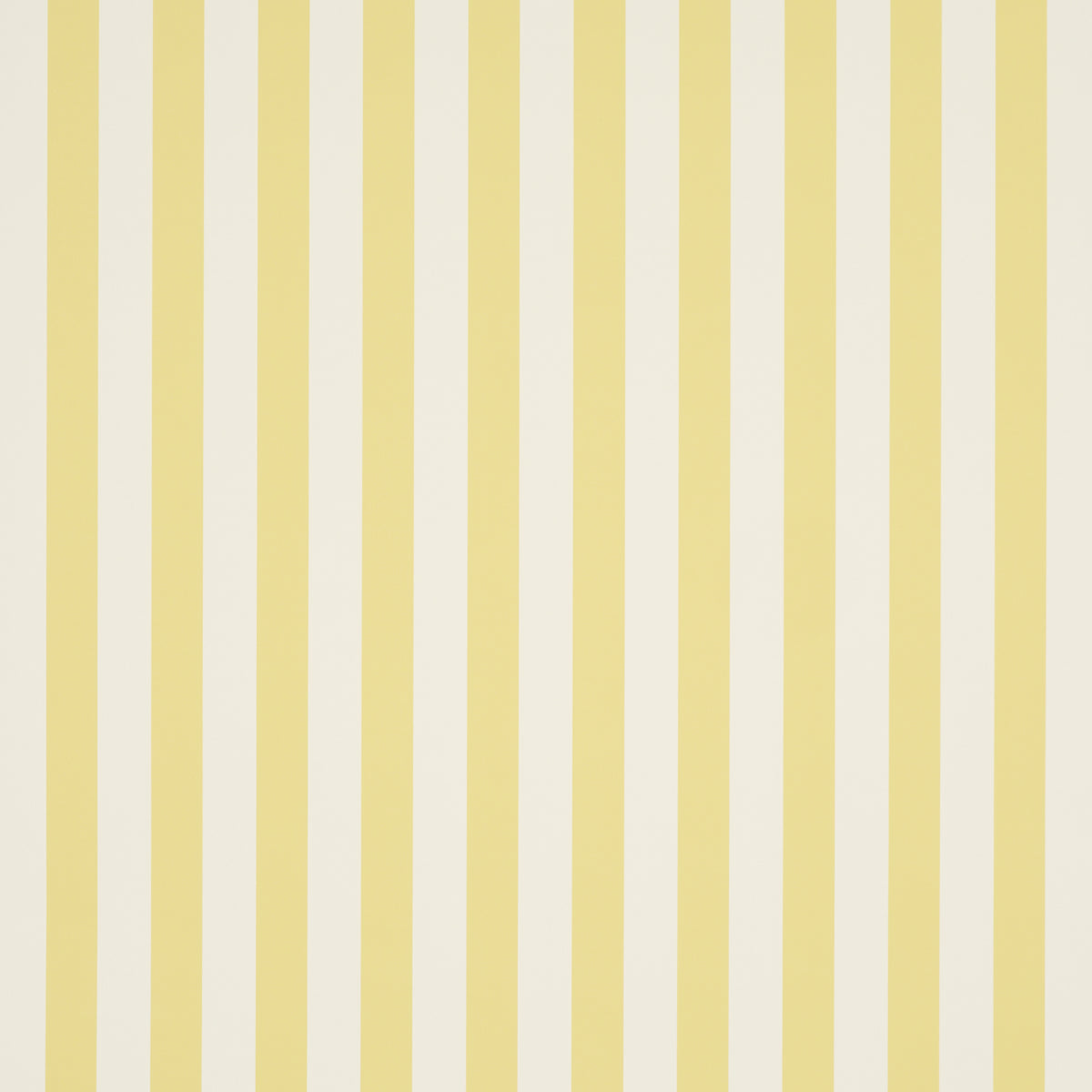 EMMA STRIPE | Yellow