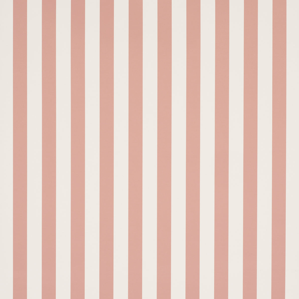 EMMA STRIPE | Coral