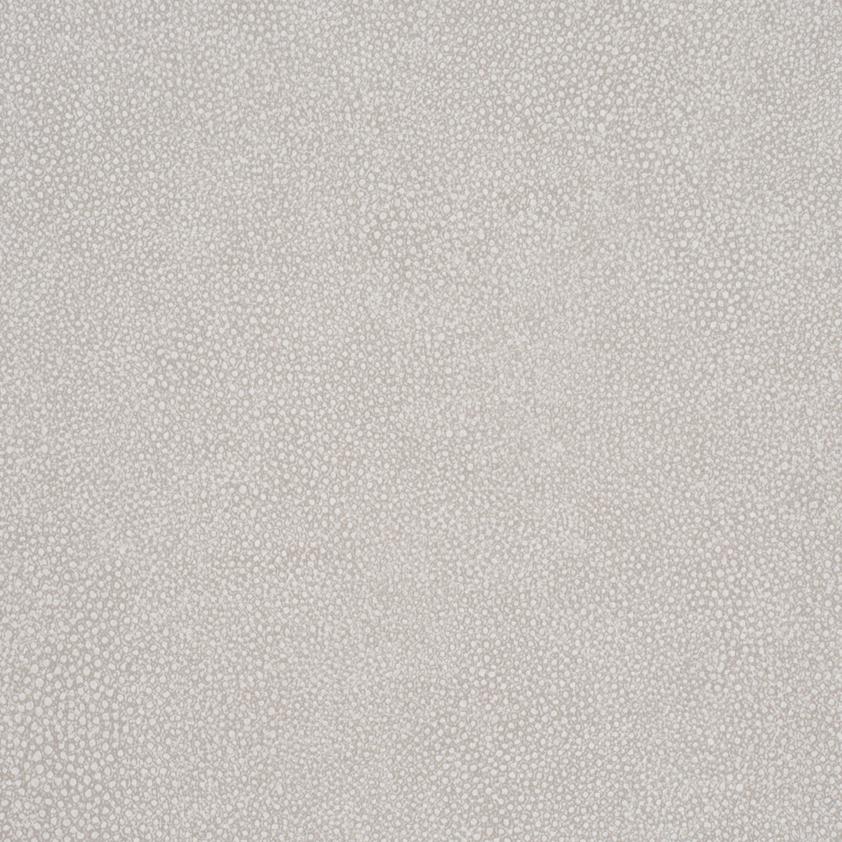 DUNBAR SHAGREEN VINYL | Dove