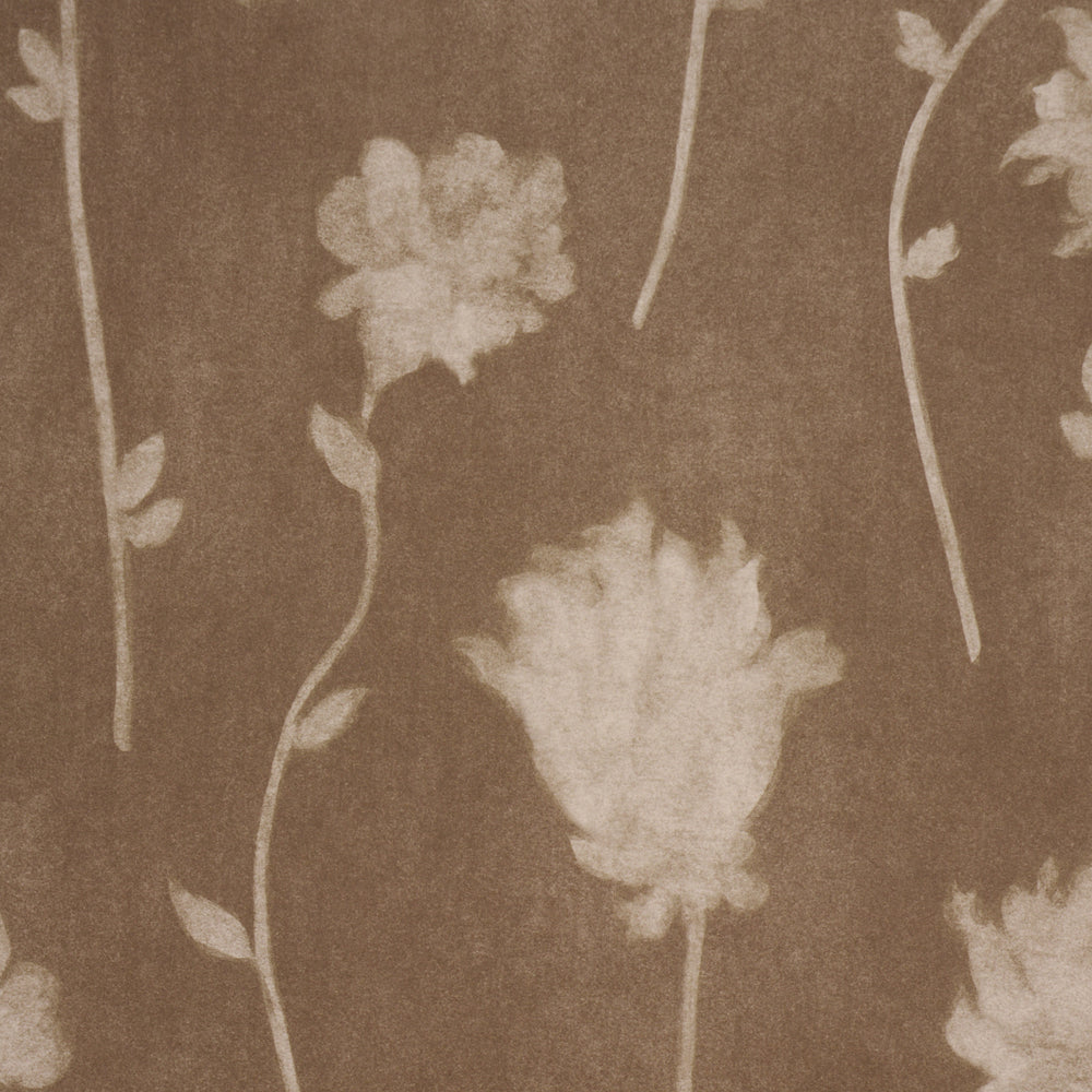 BEFORE MIDNIGHT | Chocolate