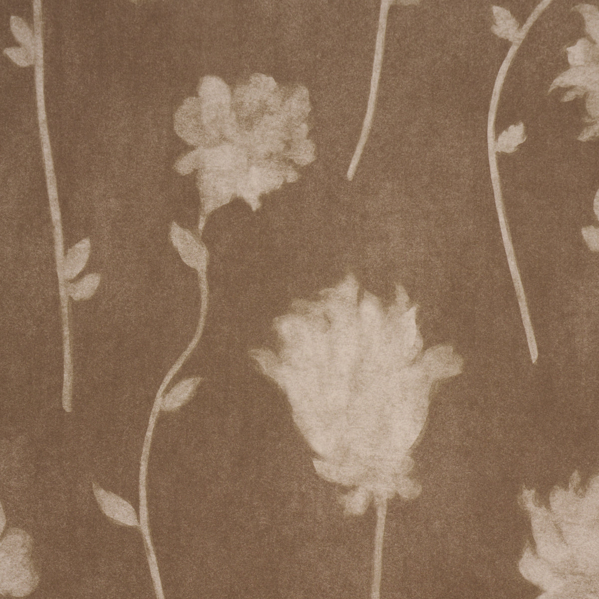 BEFORE MIDNIGHT | Chocolate