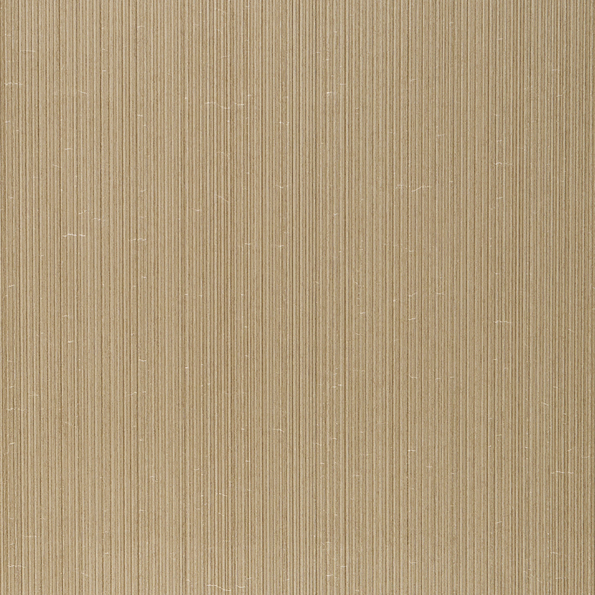 RIMINI RIB VINYL | Gold
