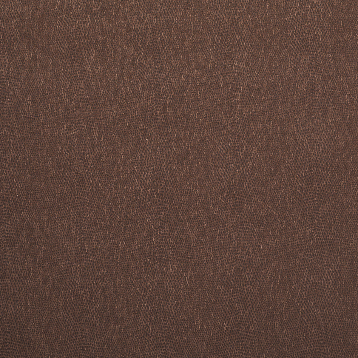 SNAKESKIN VINYL | Saddle