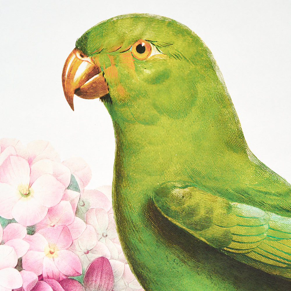 Flores Paradisi 4 Panel Set | Rose & Peony