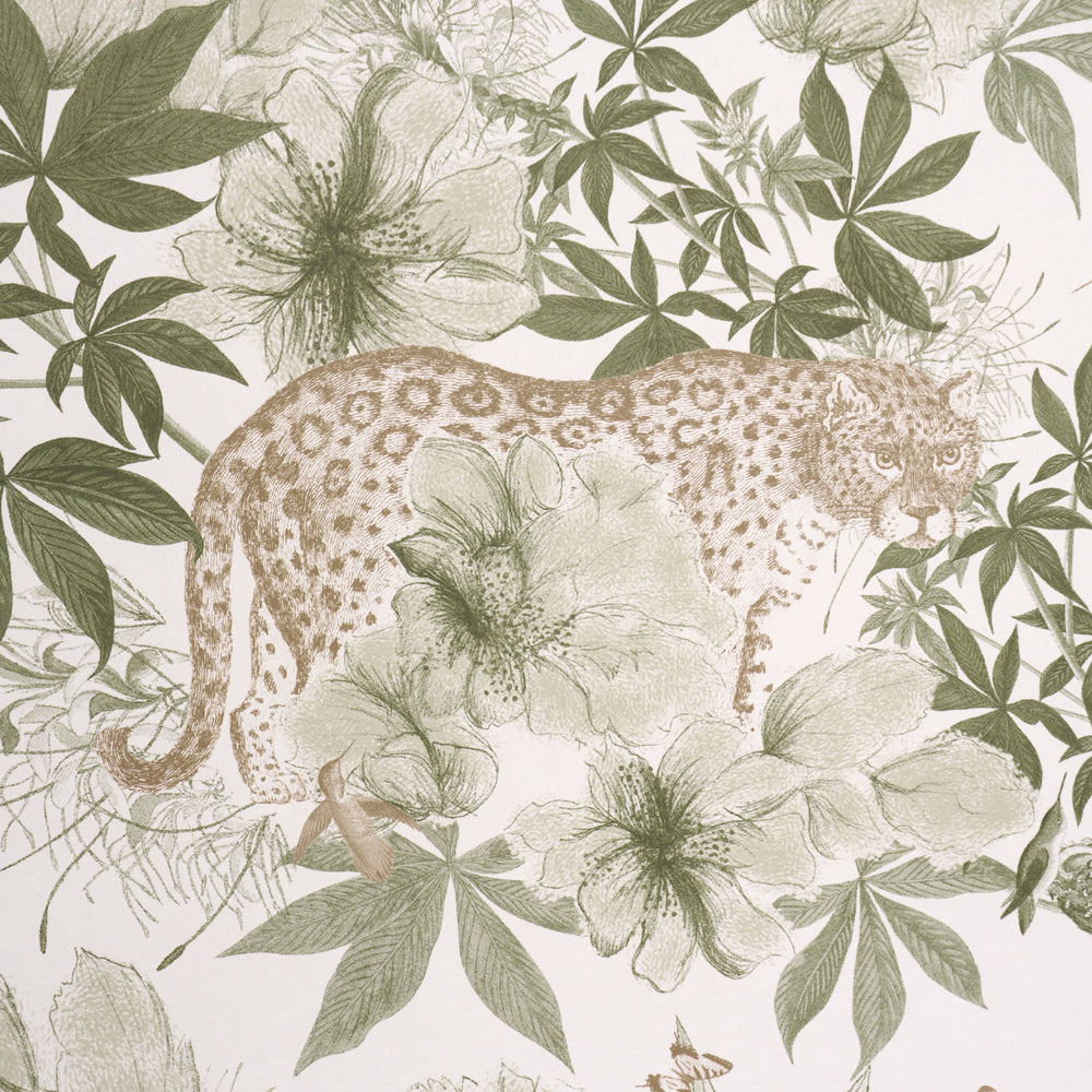 Nocturnum | Ivory & Olive