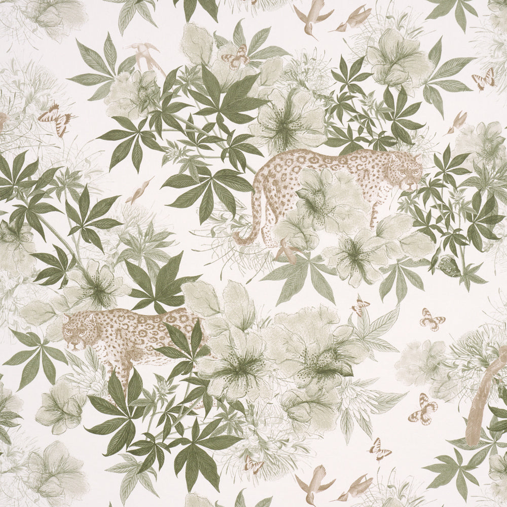 Nocturnum | Ivory & Olive