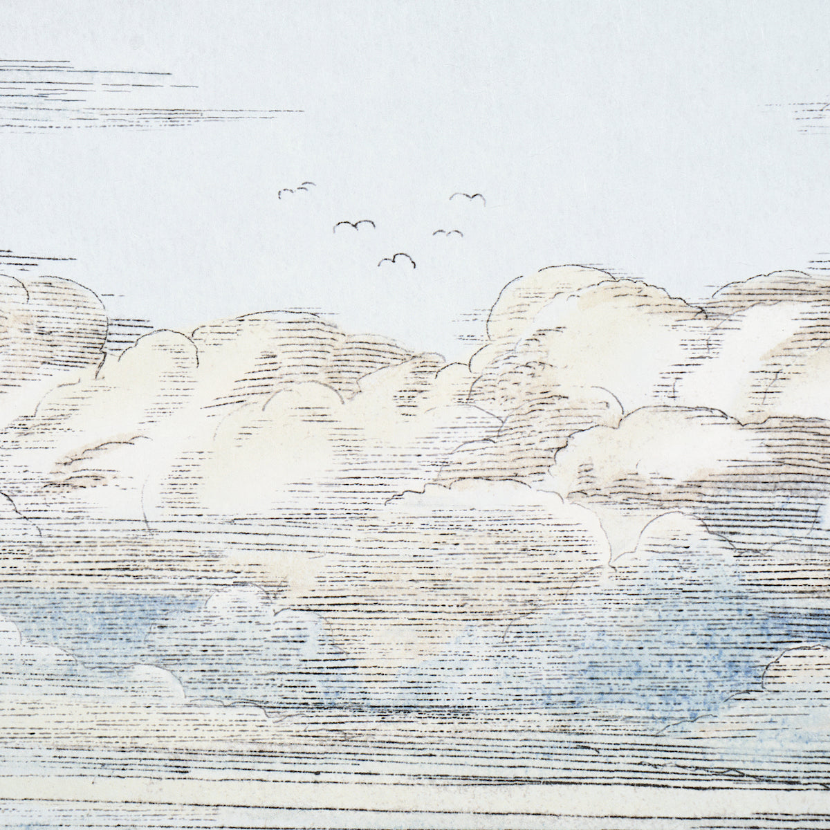 MR. DARCY'S CLOUDS | Sky