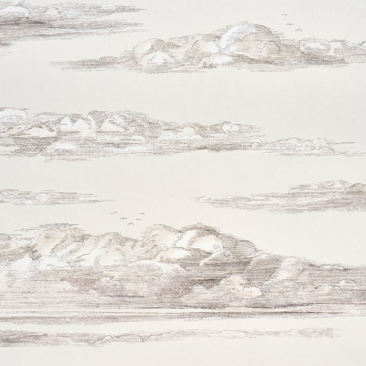 MR. DARCY'S CLOUDS | Grisaille