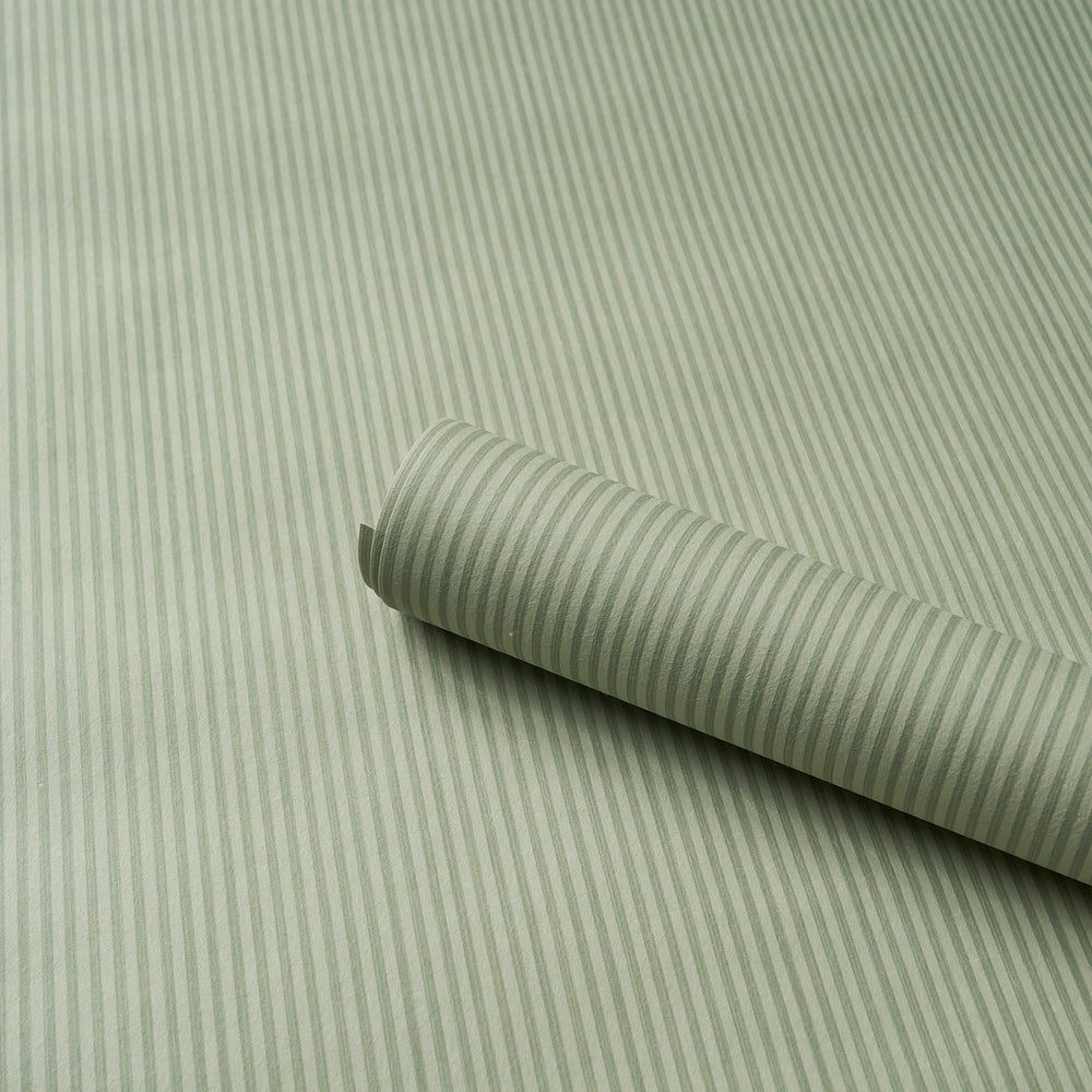 Edwin Stripe Narrow | Sage