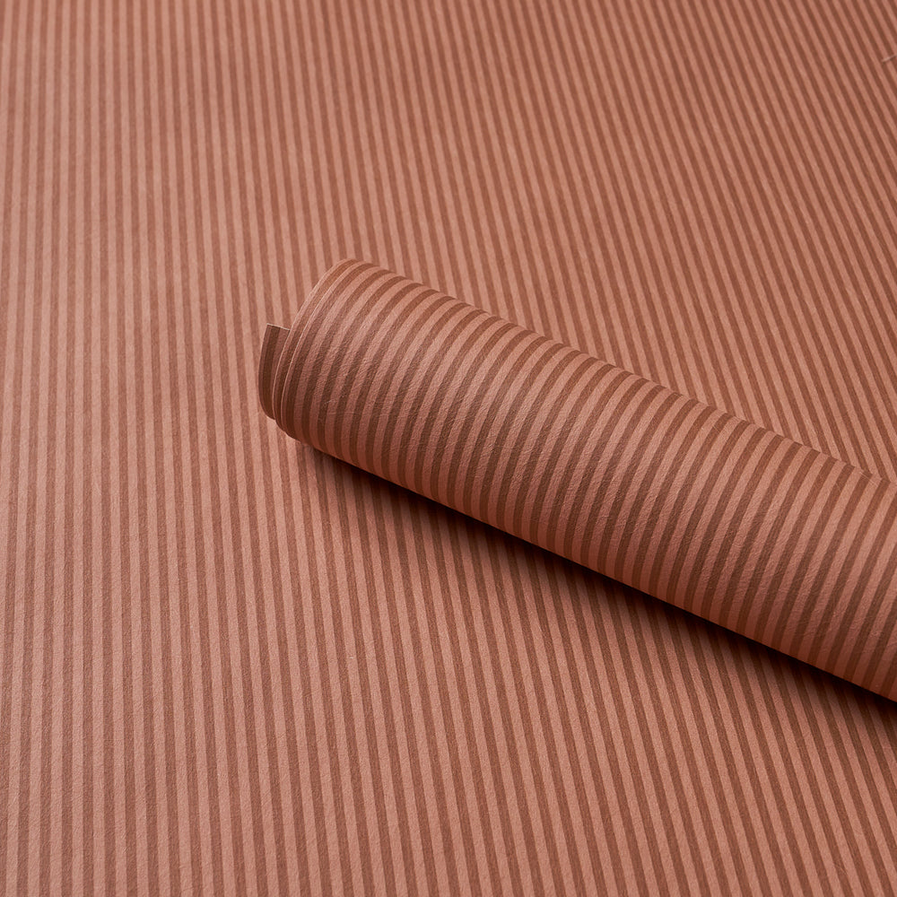 Edwin Stripe Narrow | Terracotta