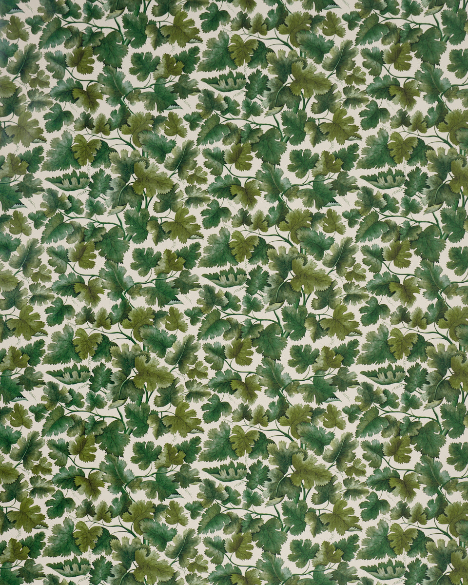 EDINBURGH VINE | Moss